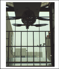 Milwaukee Public Museum Photo